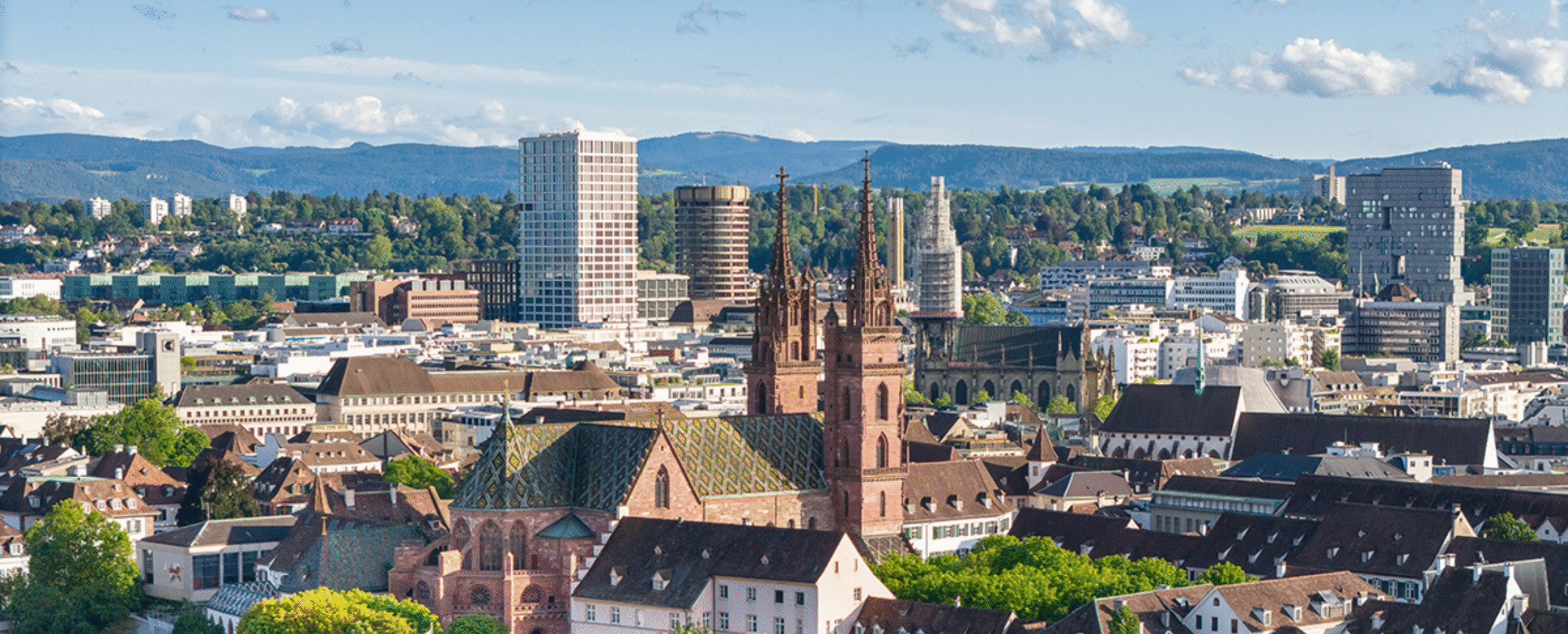 Website_Design Success stories & blogs_ basel_münster